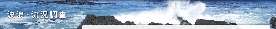 波浪・流況調査 波浪・流況調査